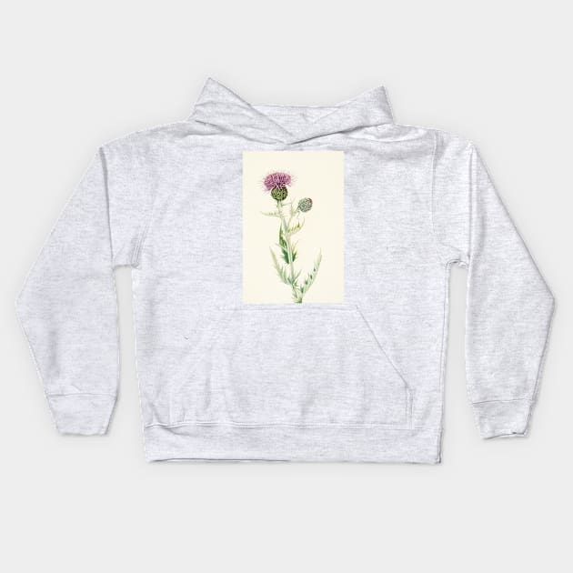 Prairie Thistle - Botanical Illustration Kids Hoodie by chimakingthings